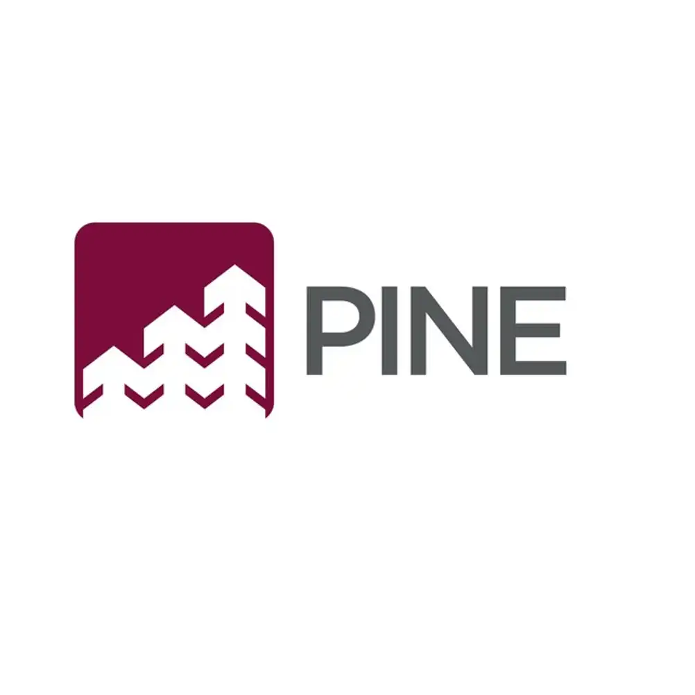 Banco Pine capta R$ 245 milhões em follow-on