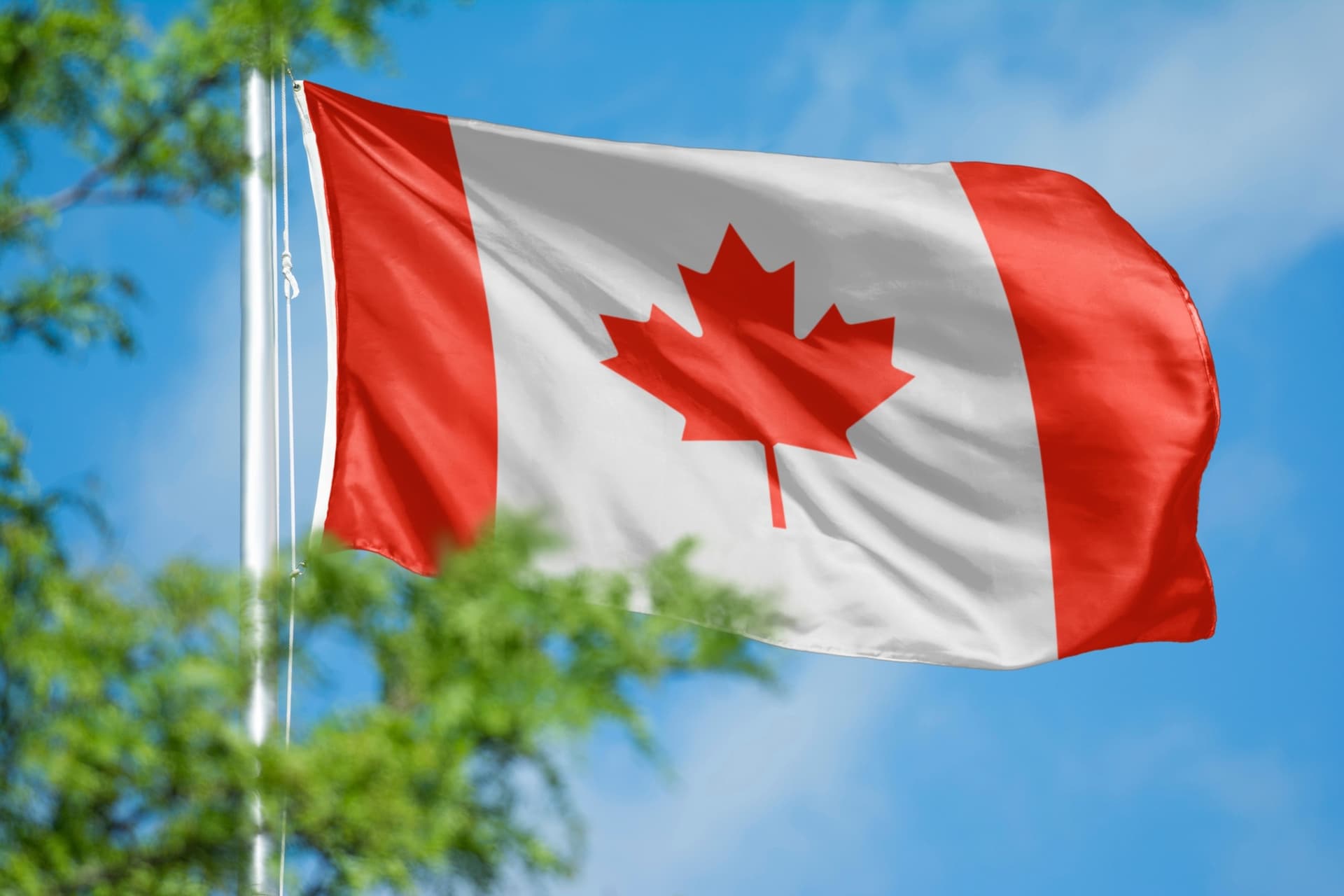 Fintech canadense capta C$ 85 mi e acelera IA em cartão PJ